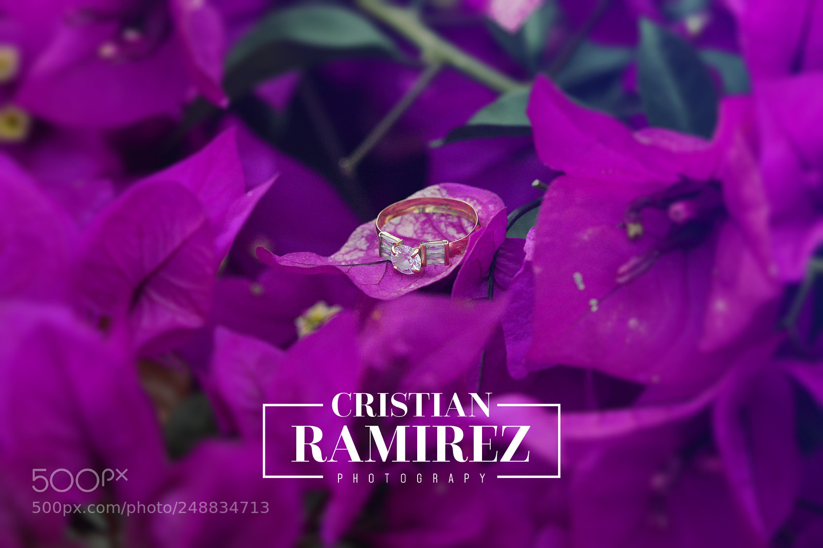Nikon D7100 sample photo. Untitled photography