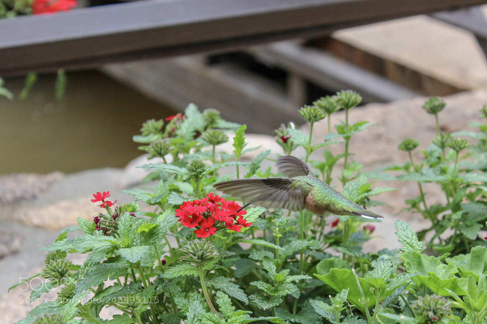 Canon EOS 1200D (EOS Rebel T5 / EOS Kiss X70 / EOS Hi) sample photo. Untitled photography
