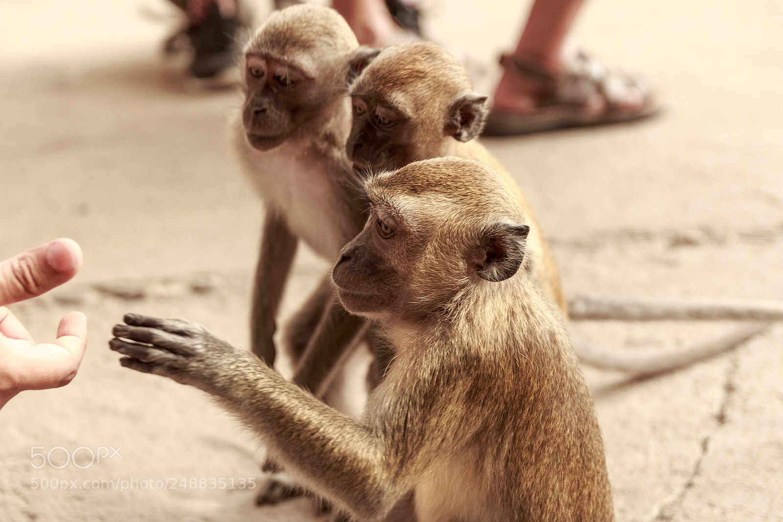 Canon EOS 650D (EOS Rebel T4i / EOS Kiss X6i) sample photo. Batu caves - malaysia photography