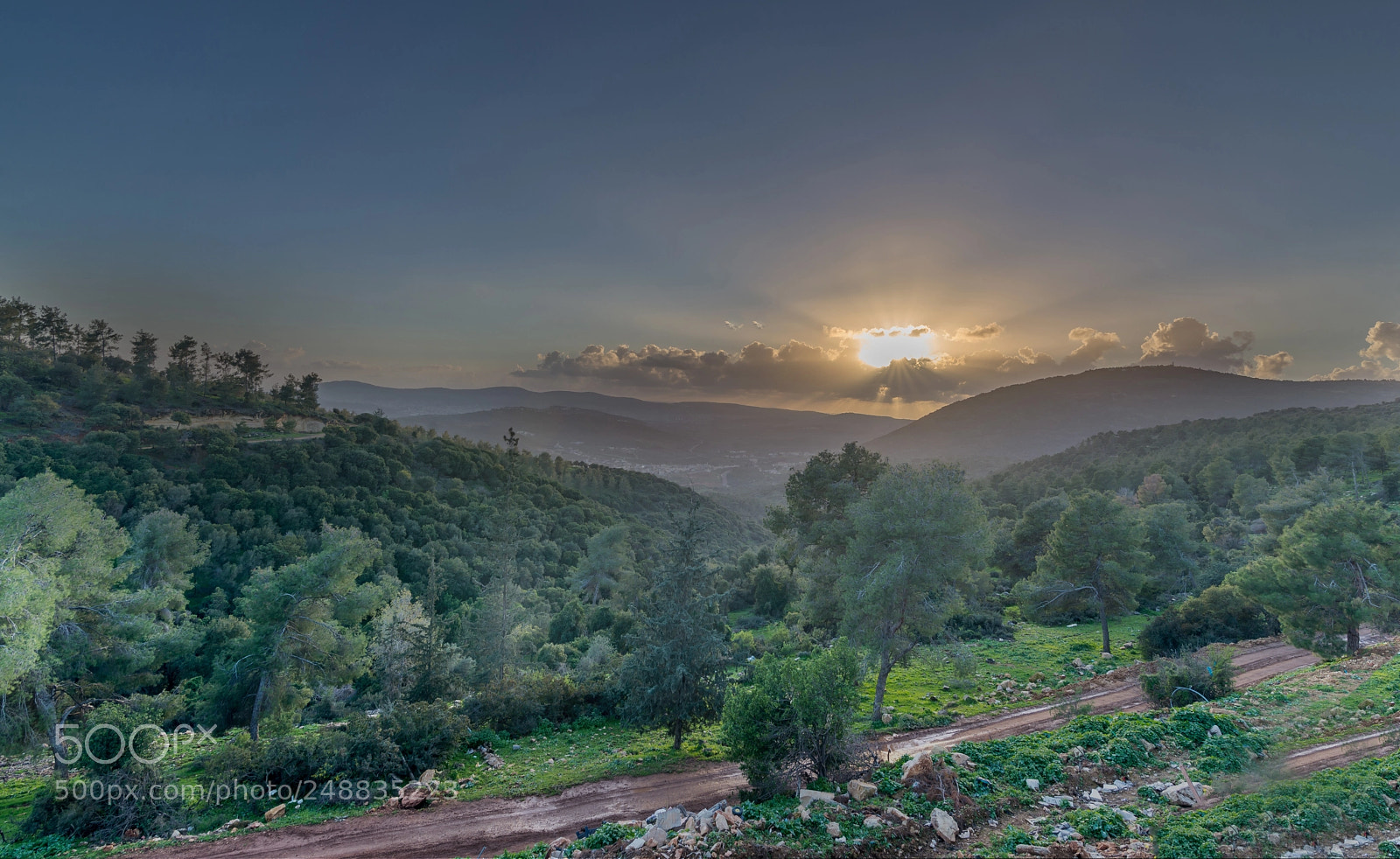 Nikon D610 sample photo. נוף photography