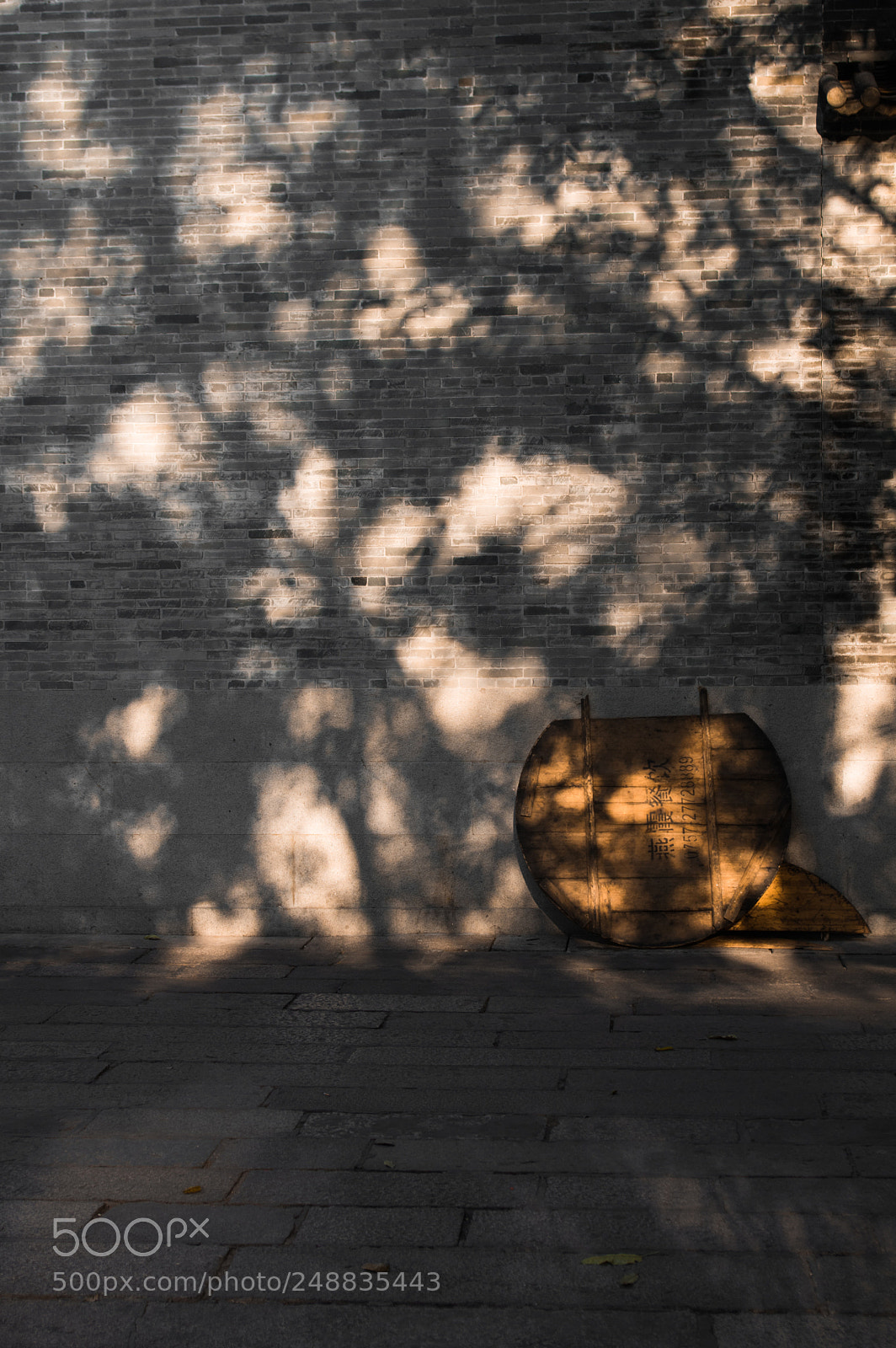Pentax K-3 sample photo. Untitled photography