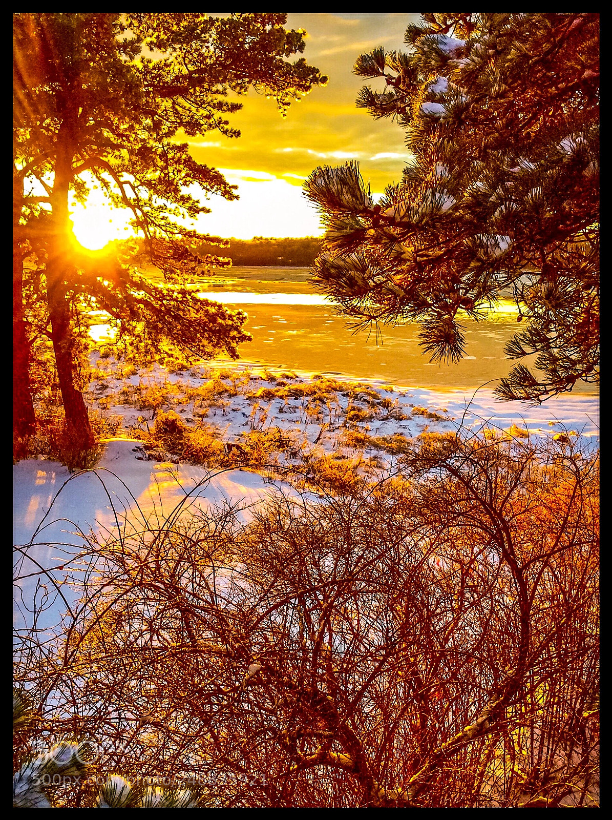 Apple iPad mini 2 sample photo. Rachel carson wildlife preserve photography