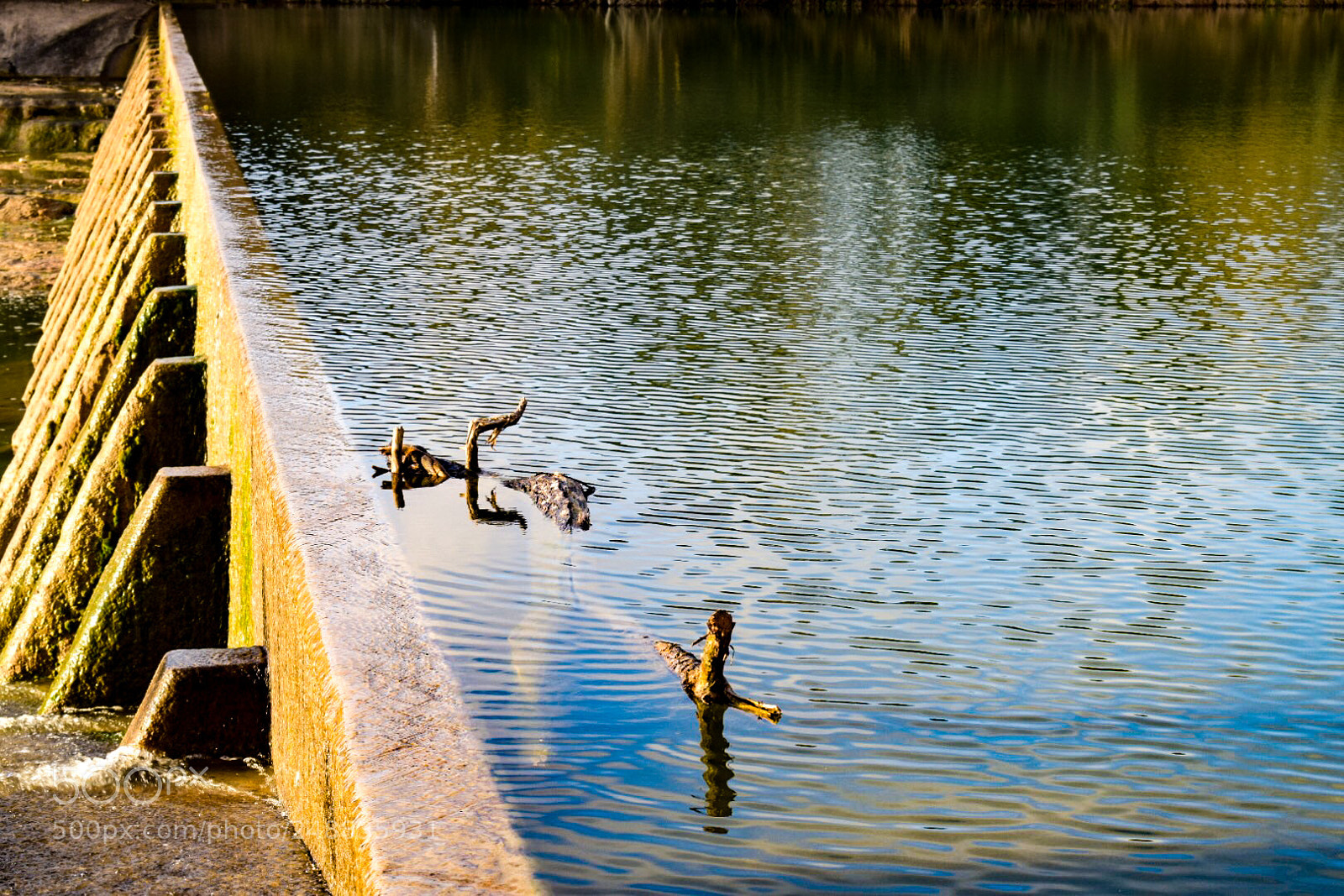 Nikon D5300 sample photo. Untitled photography