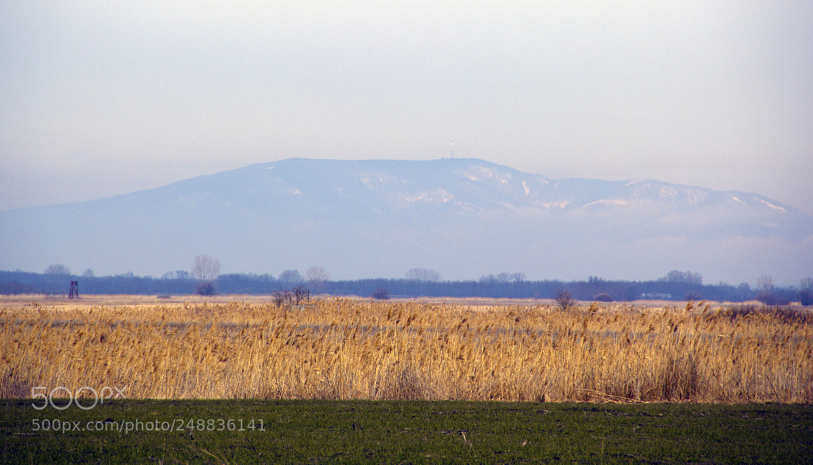 Canon EOS 60D sample photo. Kékes mountain photography