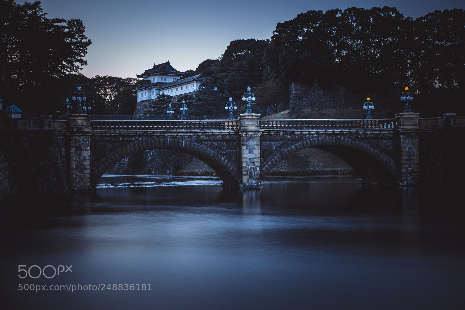 Nikon D610 sample photo. Edo castle imperial palace photography