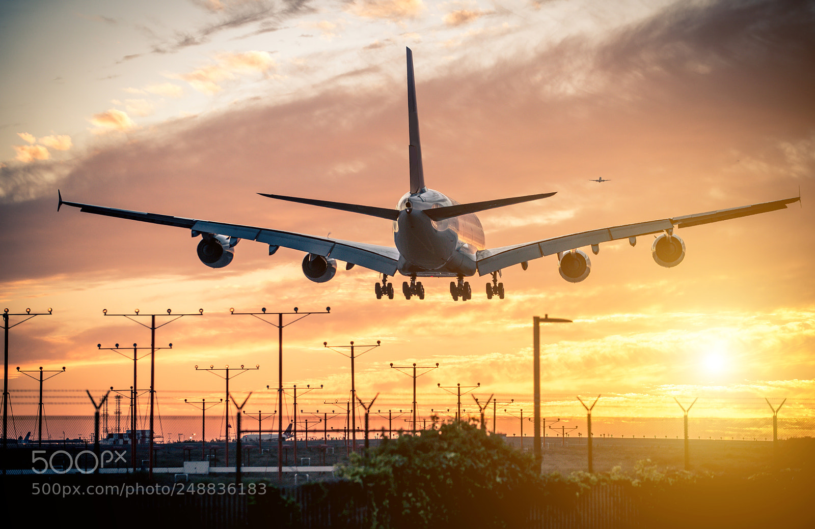 Nikon D610 sample photo. Airplane landing on the photography
