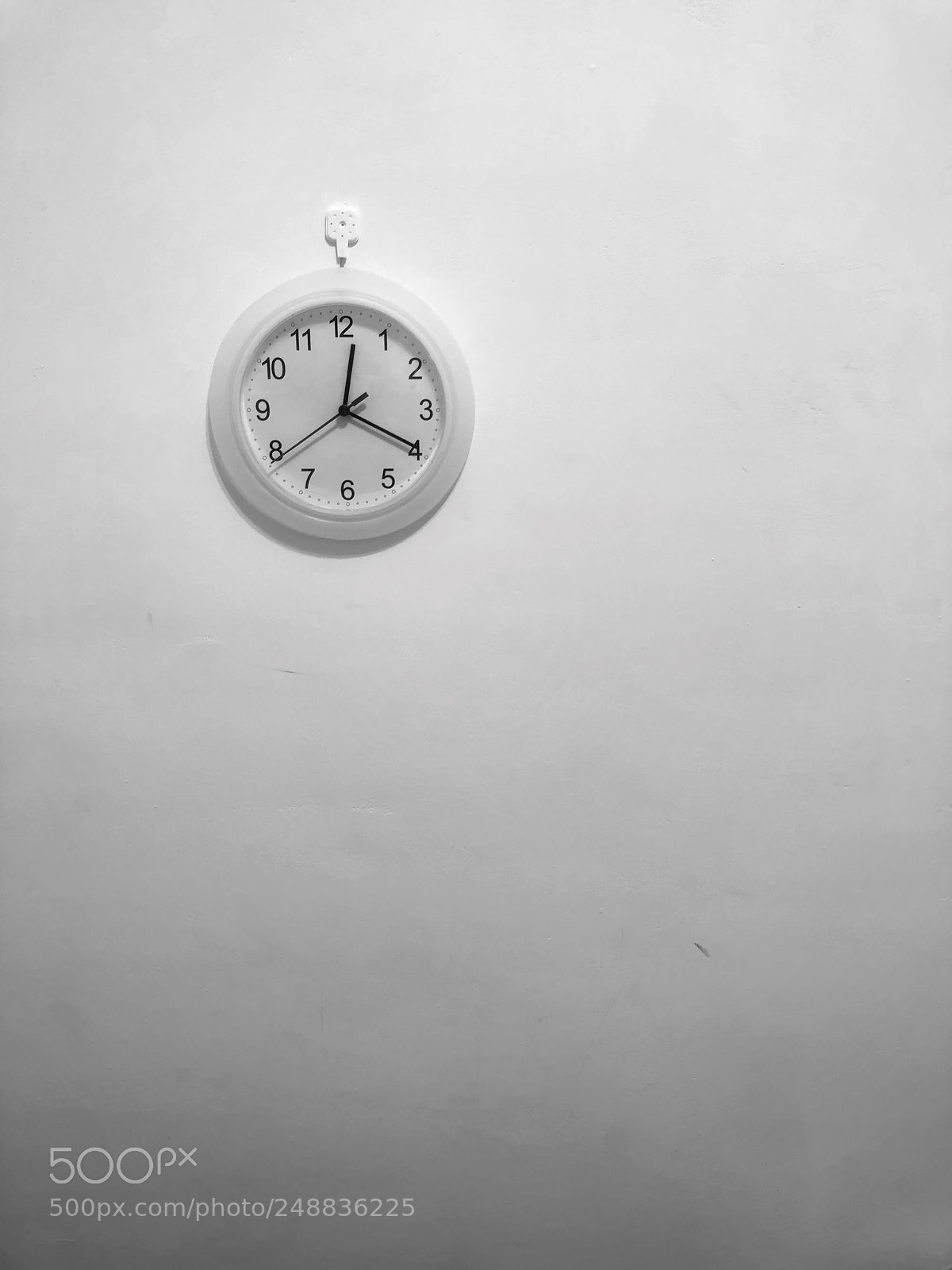 Apple iPhone 8 Plus sample photo. Untitled photography