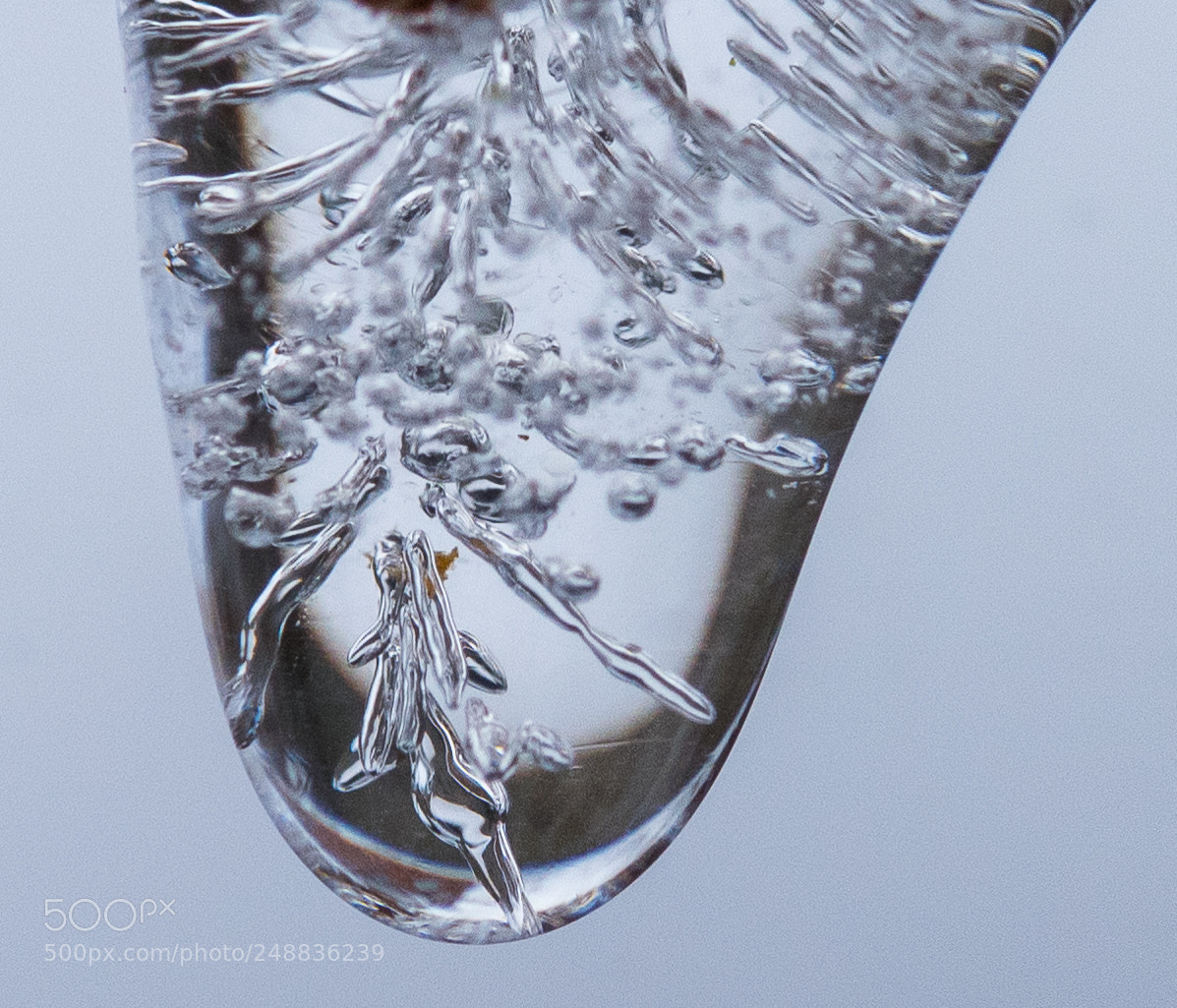 Nikon D810 sample photo. "skeleton" photography