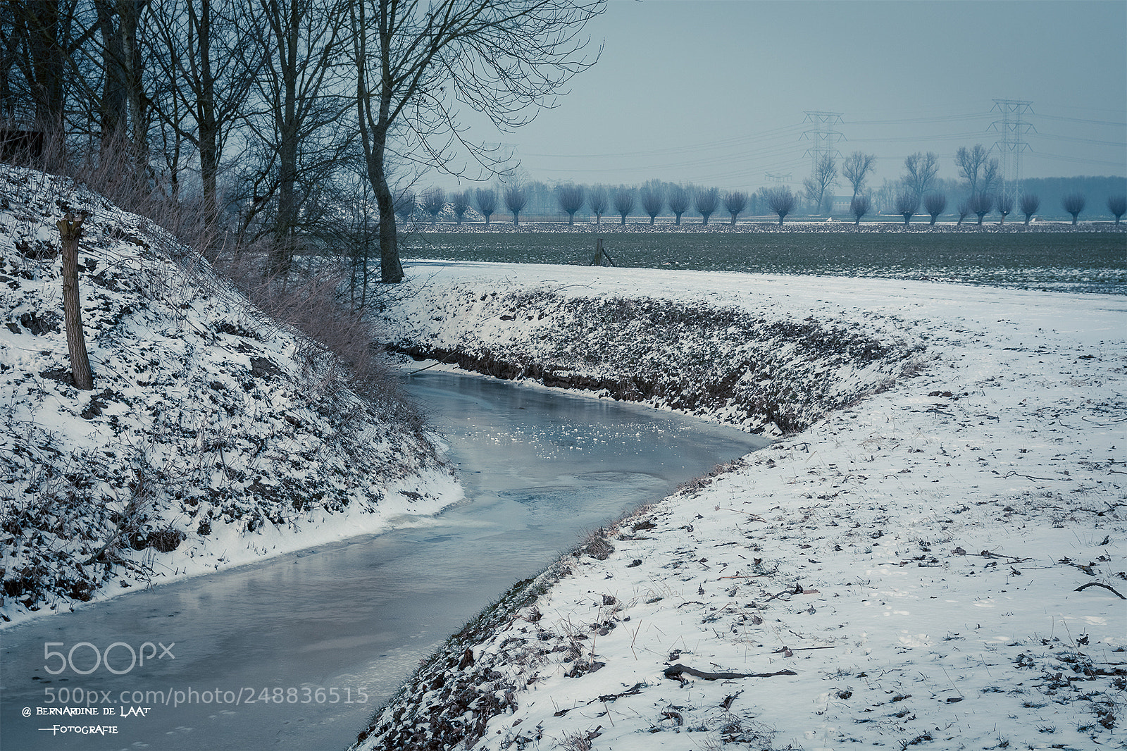 Nikon D7100 sample photo. Frozen photography