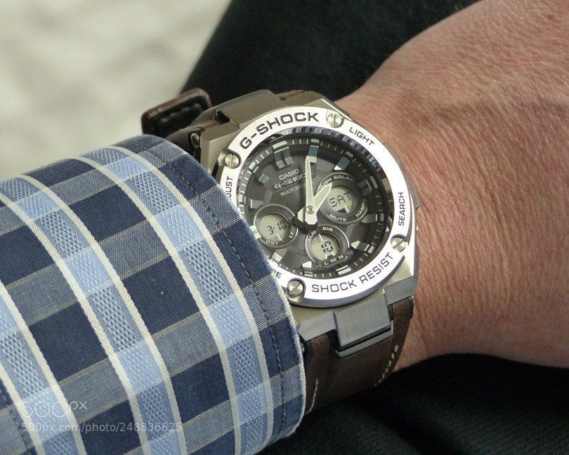 Panasonic Lumix DMC-FZ200 sample photo. Gst photography