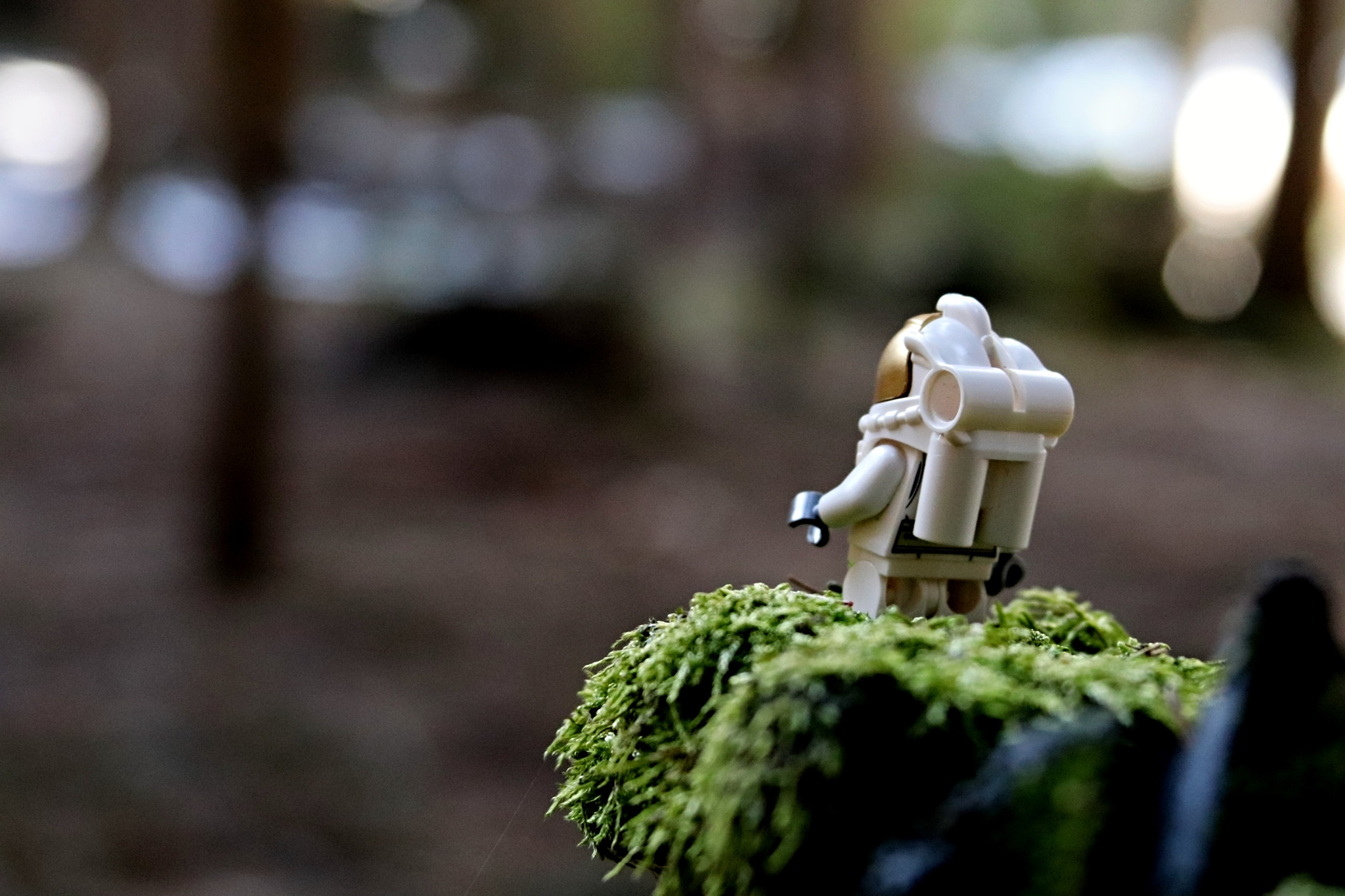 Canon EF 28-135mm F3.5-5.6 IS USM sample photo. Astronaut photography