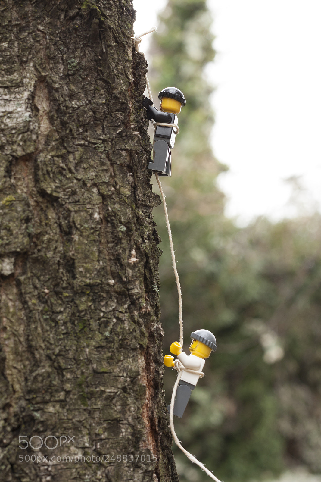 Canon EOS 40D sample photo. Climbing legos photography