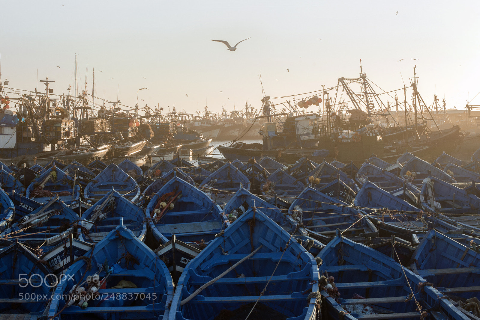 Nikon D600 sample photo. Essaouira photography