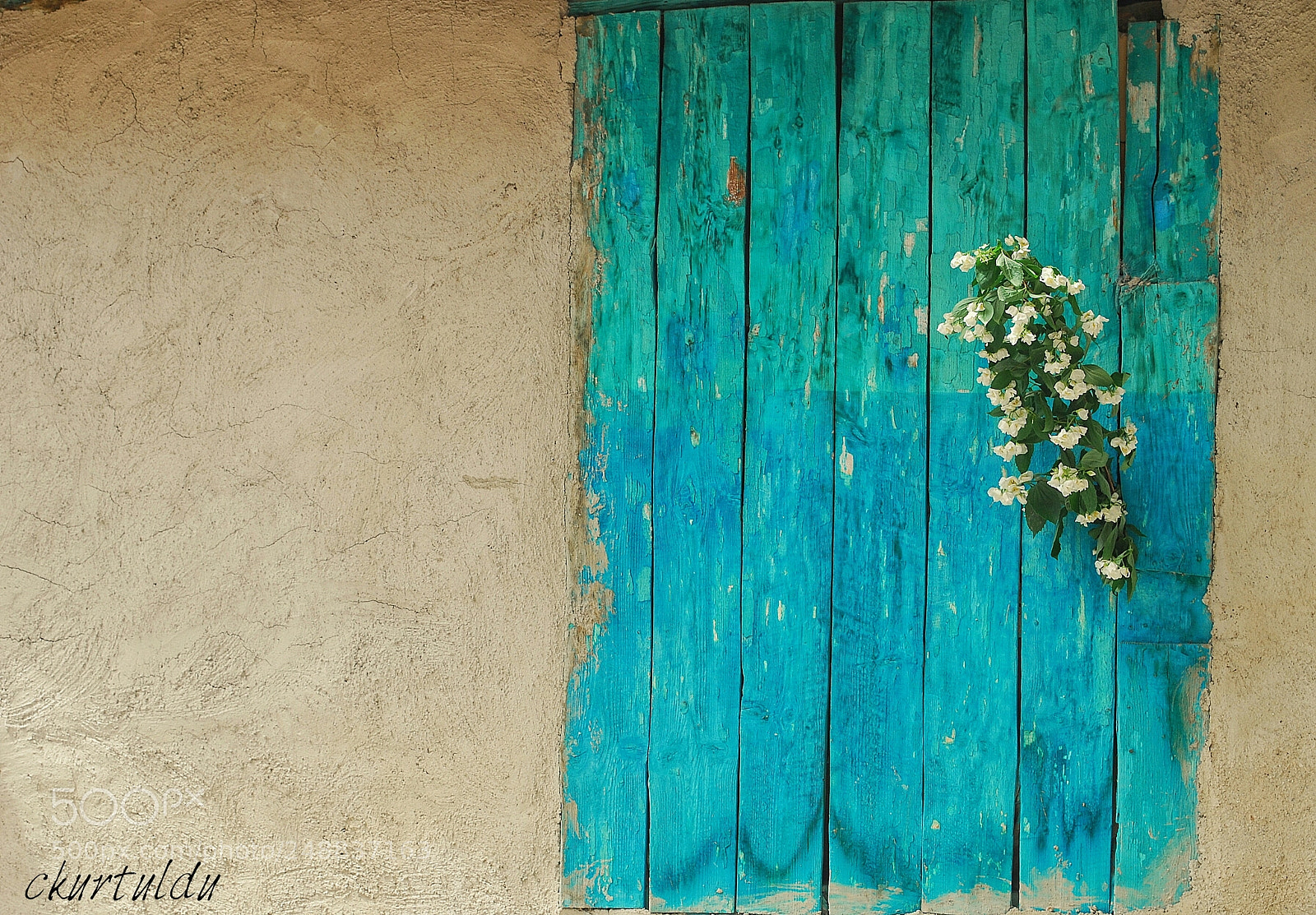 Nikon D60 sample photo. The door photography