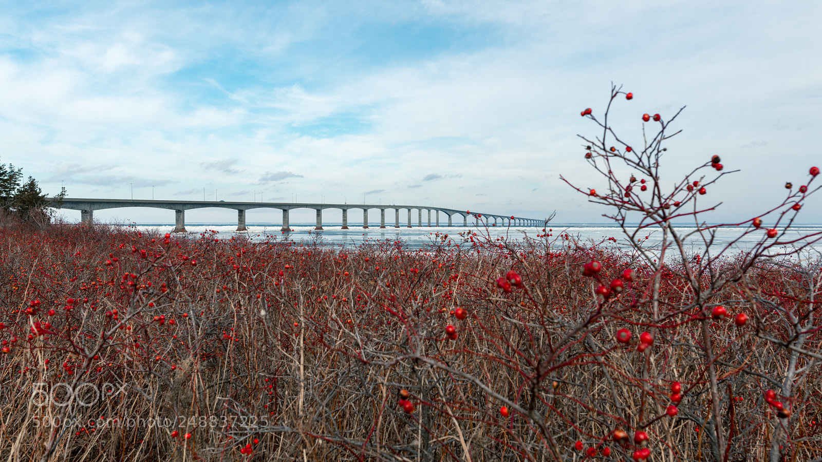 Nikon D800 sample photo. Confederation bridge photography