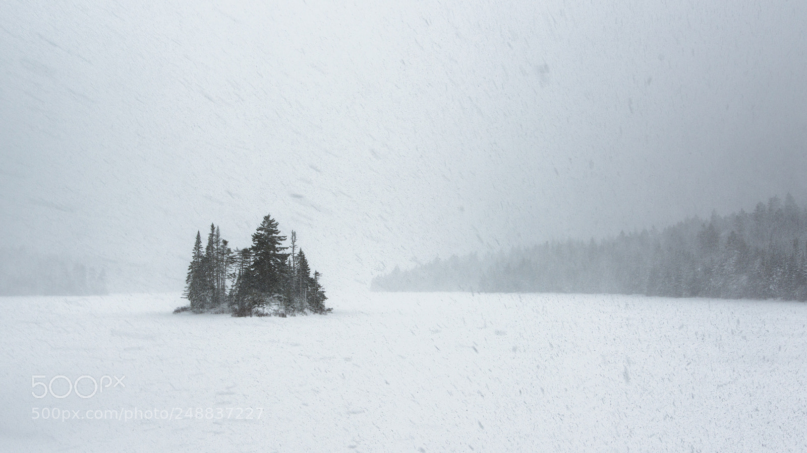 Nikon D800 sample photo. Bennett lake photography