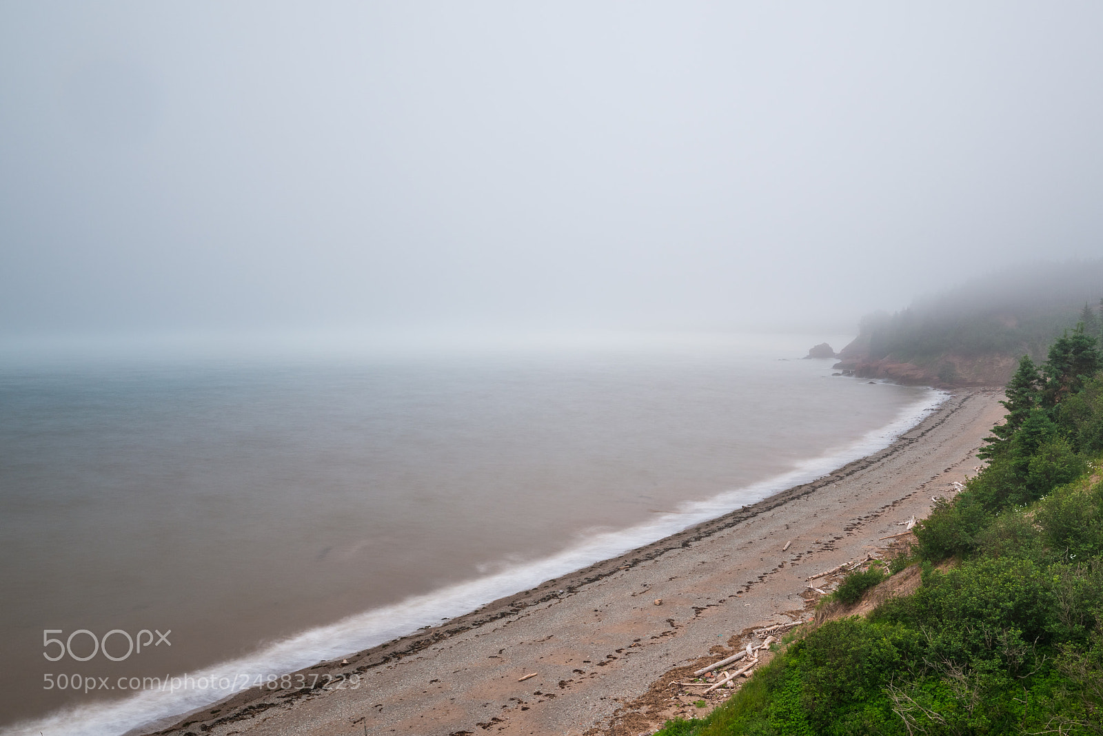 Nikon D800 sample photo. Dennis beach photography