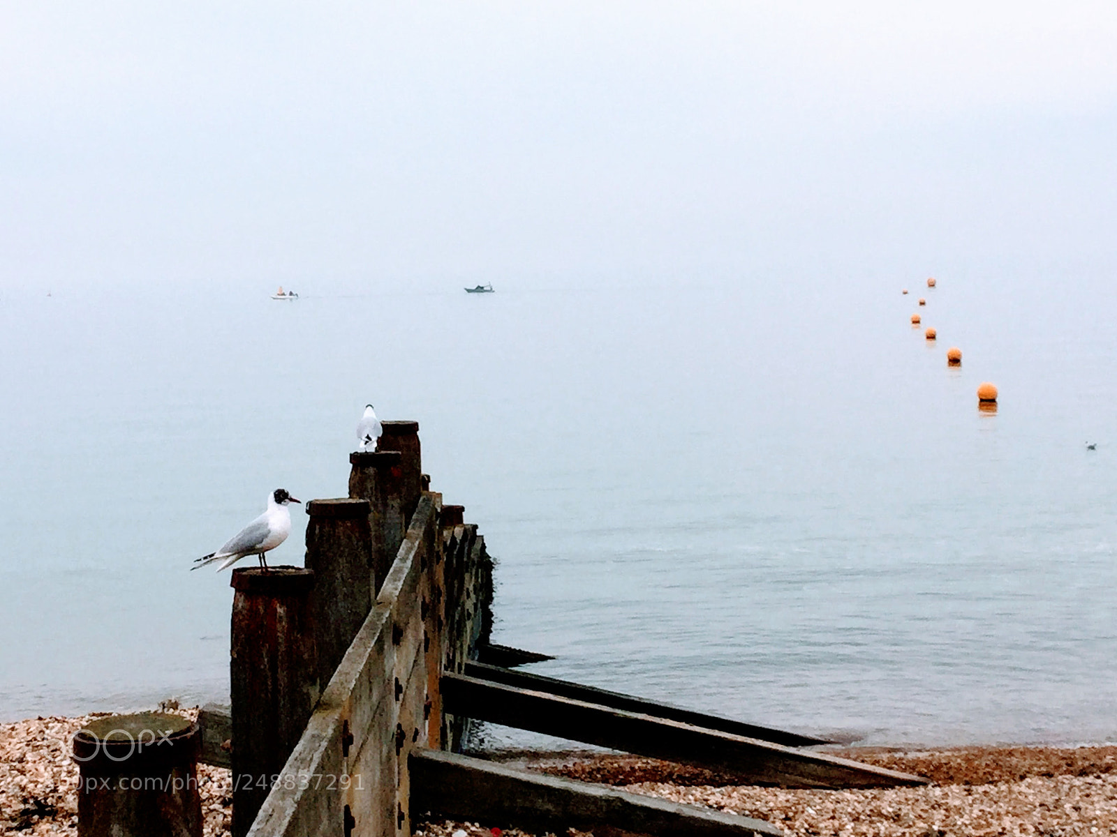 Apple iPod touch sample photo. Misty whitstable photography