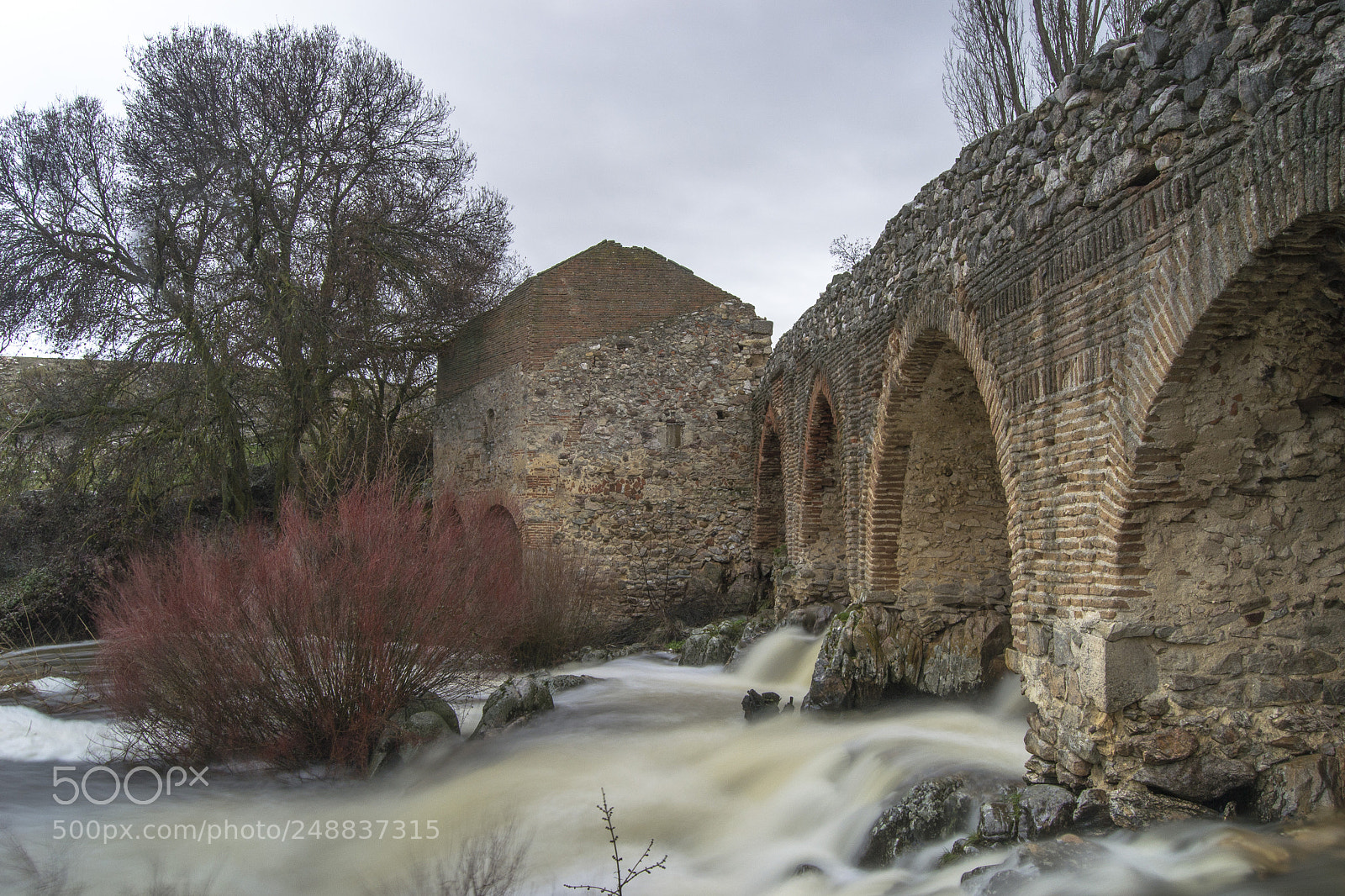 Nikon D3100 sample photo. Puente de mart n photography