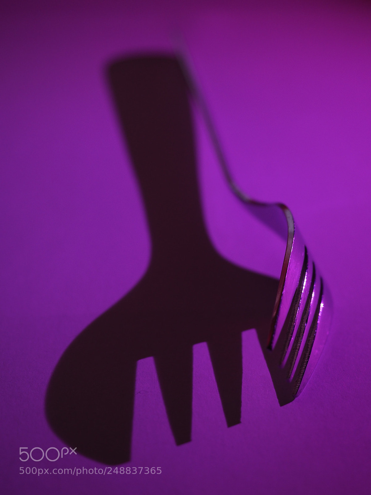 Olympus OM-D E-M1 sample photo. Fork in purple photography
