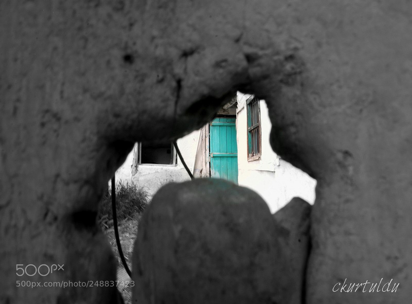 Nikon D60 sample photo. Naturel frame photography