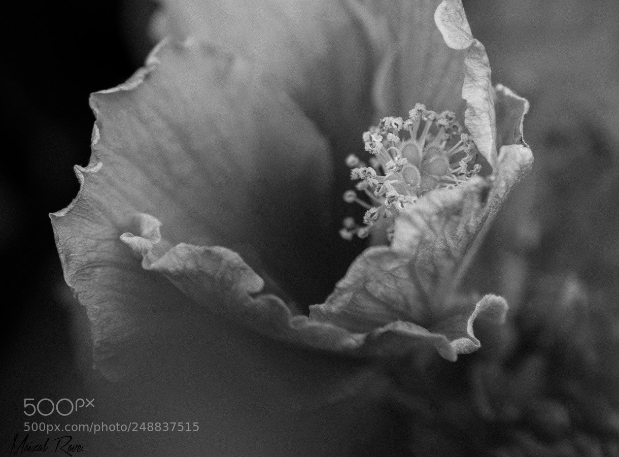 Nikon D3400 sample photo. Sensaciones. photography