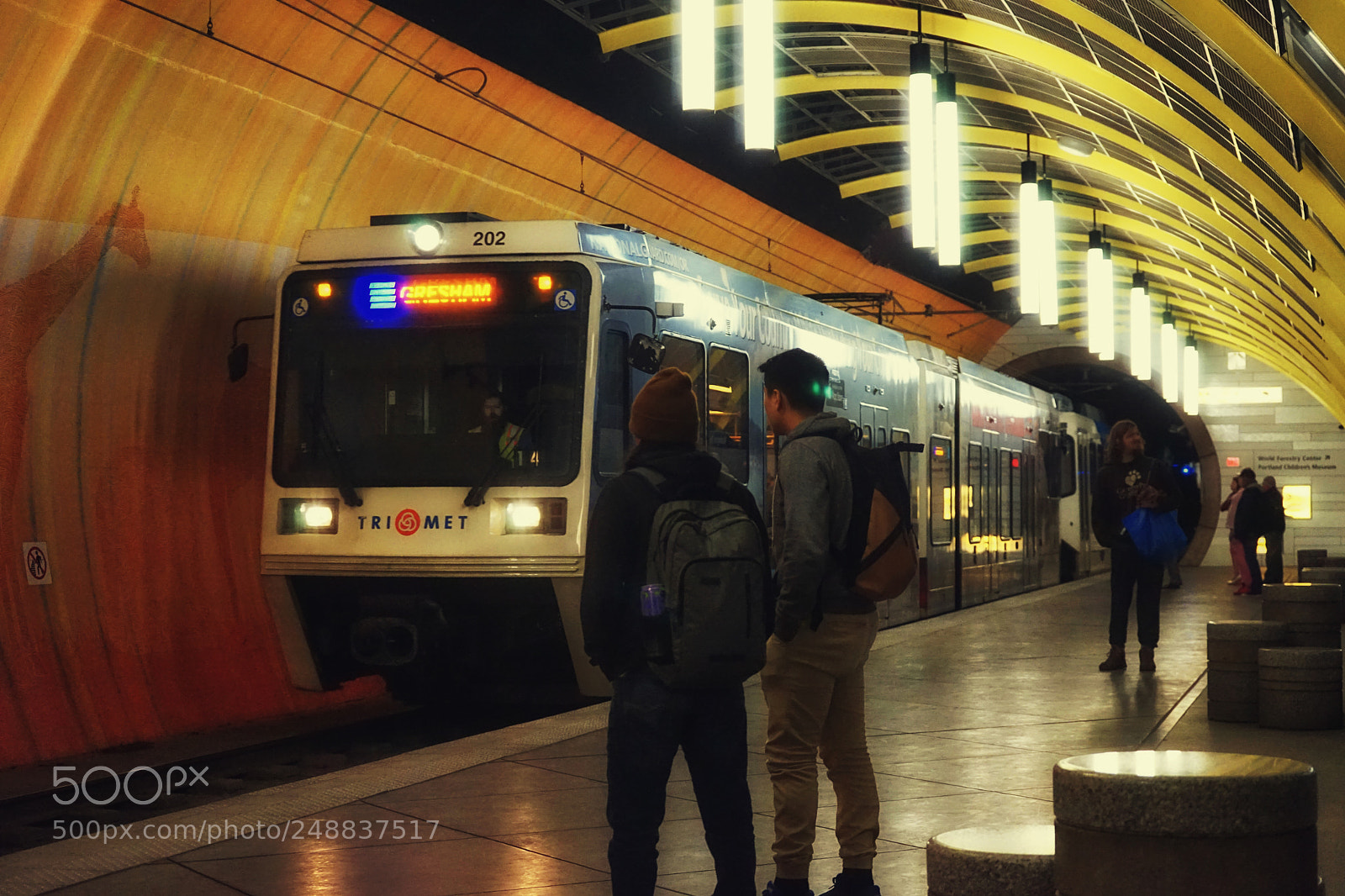 Sony a7 sample photo. Tunnel adventures photography