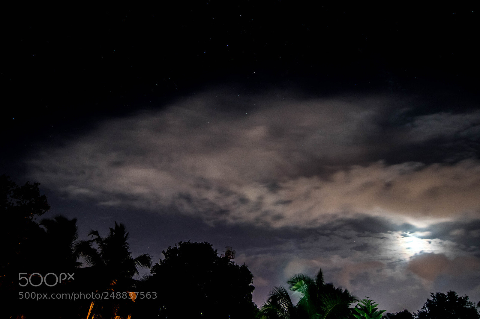 Nikon D500 sample photo. Nightchill photography