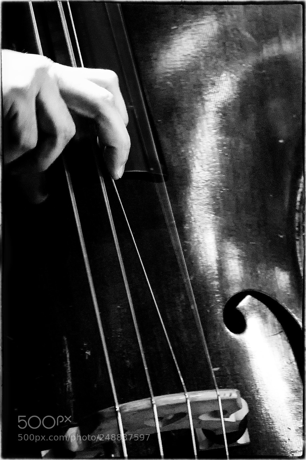 Sony a7 II sample photo. Bass () photography