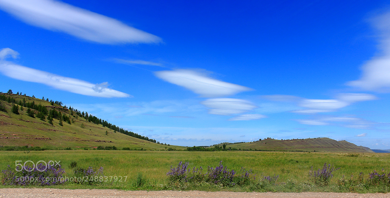 Canon EOS 100D (EOS Rebel SL1 / EOS Kiss X7) sample photo. Summer landscape of the photography