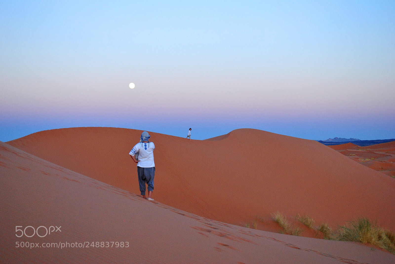 Nikon D3000 sample photo. Sunset desert photography