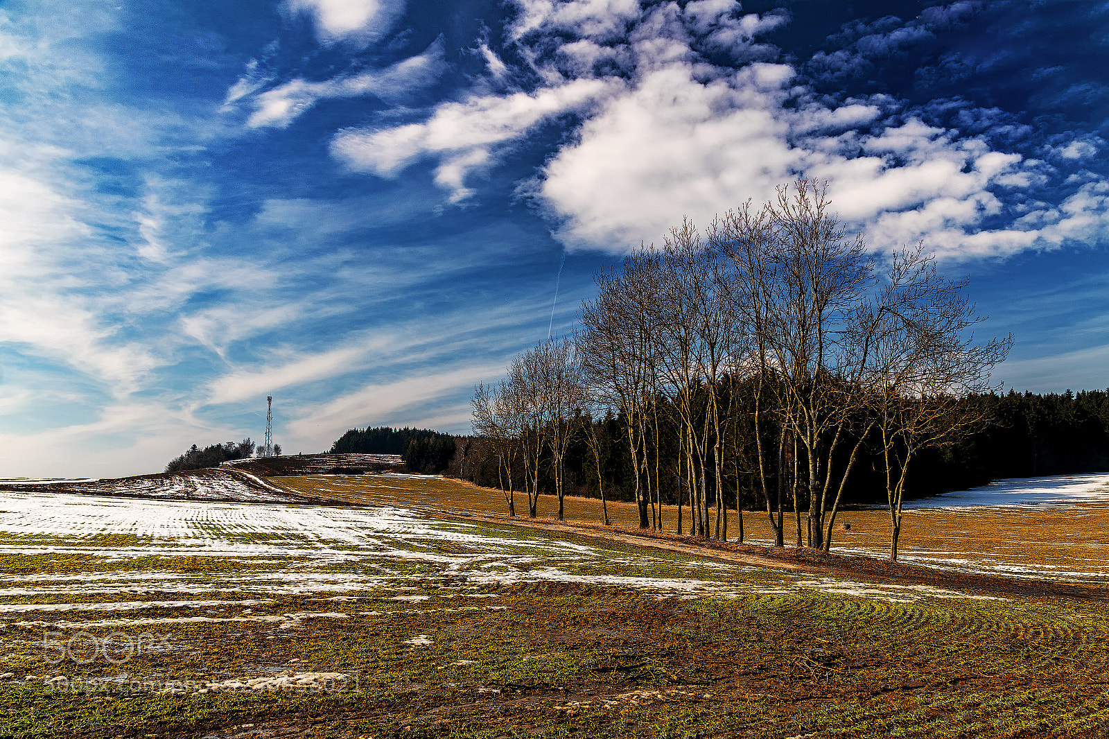 Nikon D5600 sample photo. Vysočinou ... 50. photography