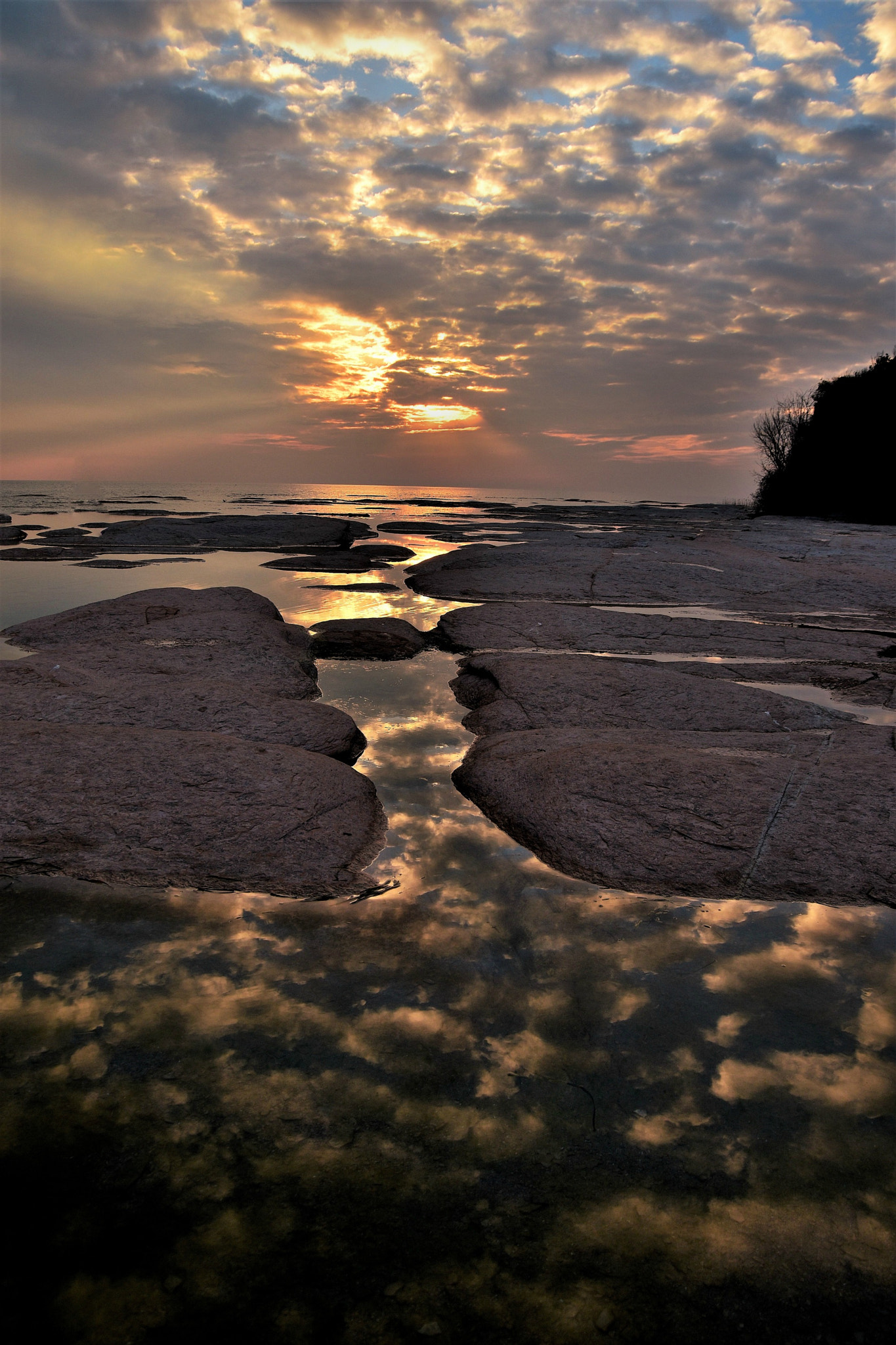 Nikon D5500 sample photo. Dramatic reflection photography