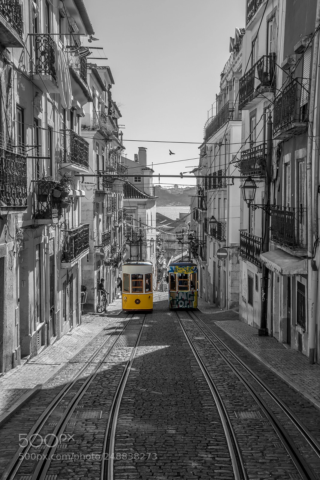 Canon EOS 80D sample photo. Old trams in lisbon photography