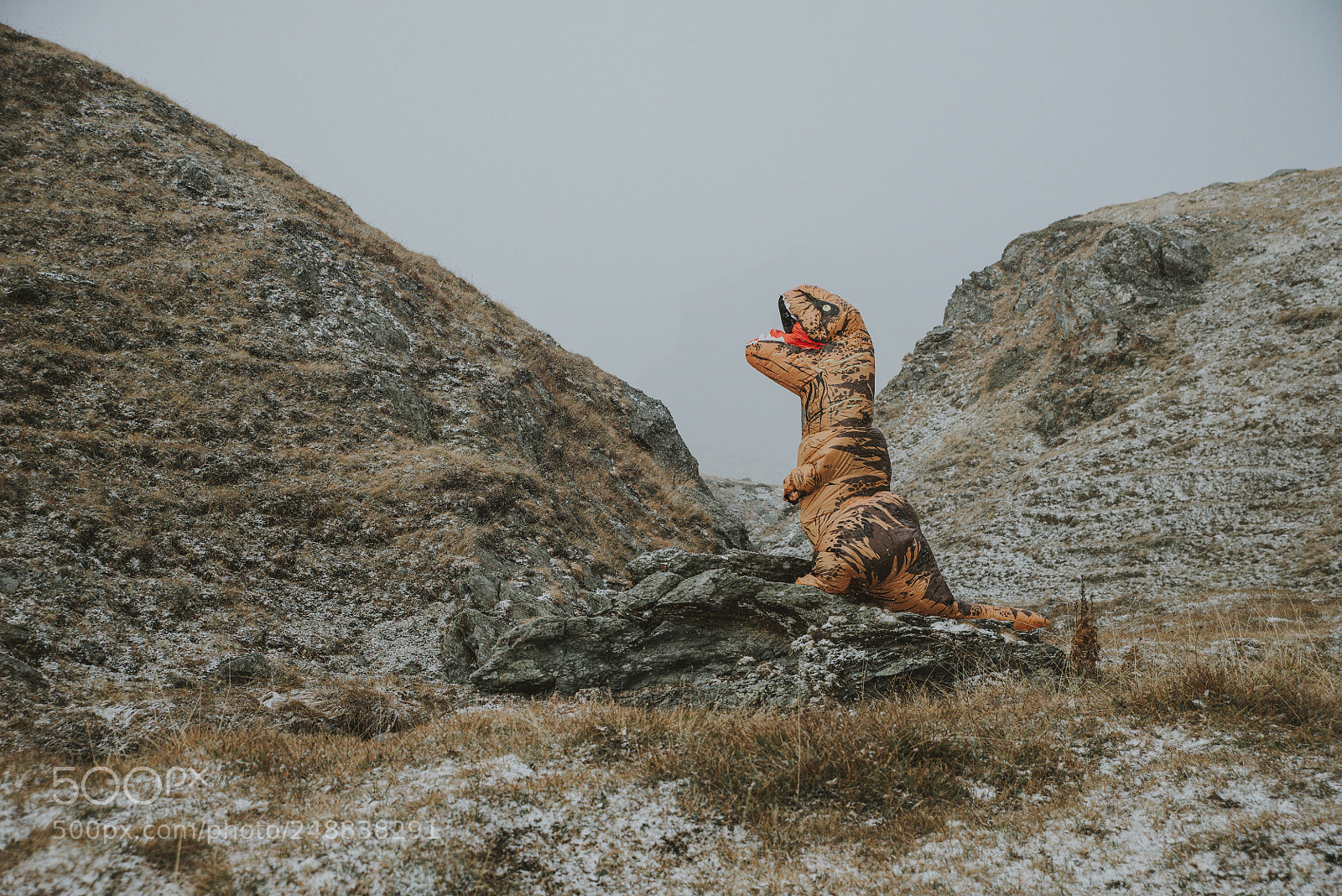 Nikon D610 sample photo. Man with dinosaur costume photography