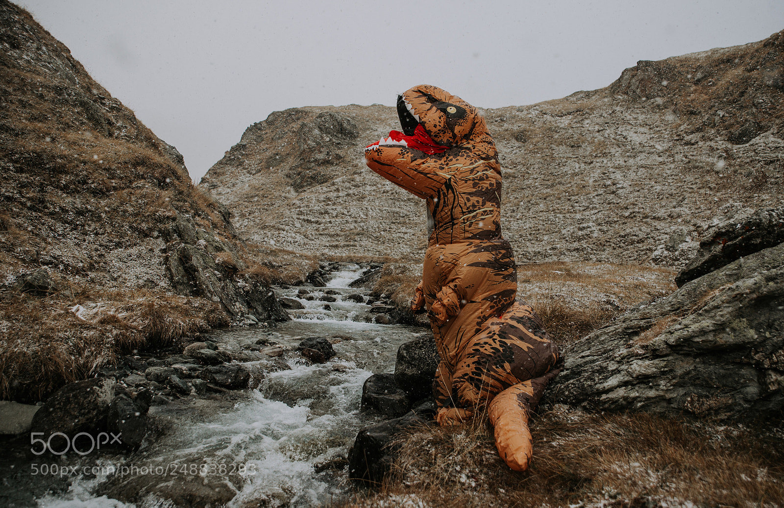 Nikon D610 sample photo. Man with dinosaur costume photography