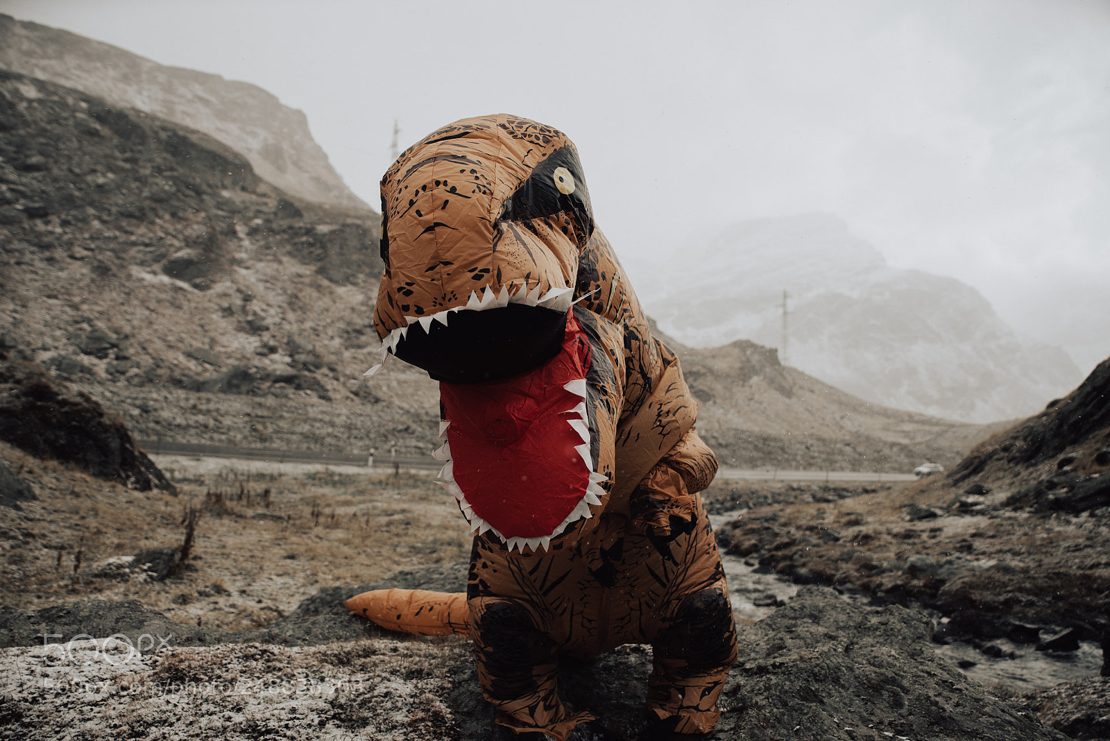 Nikon D610 sample photo. Man with dinosaur costume photography