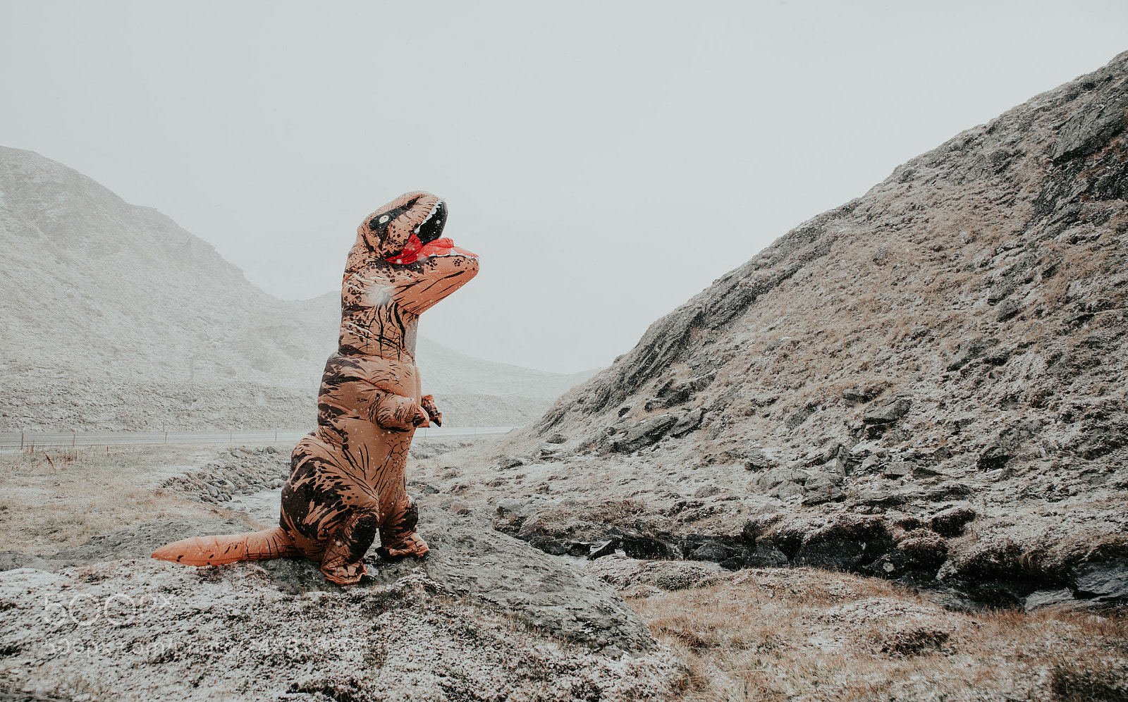 Nikon D610 sample photo. Man with dinosaur costume photography