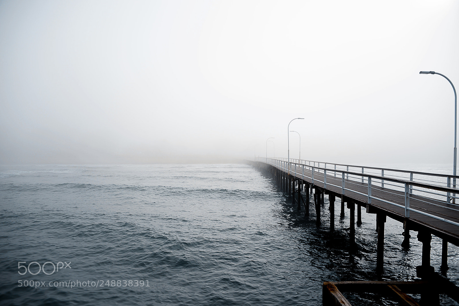 Nikon D610 sample photo. Fog photography