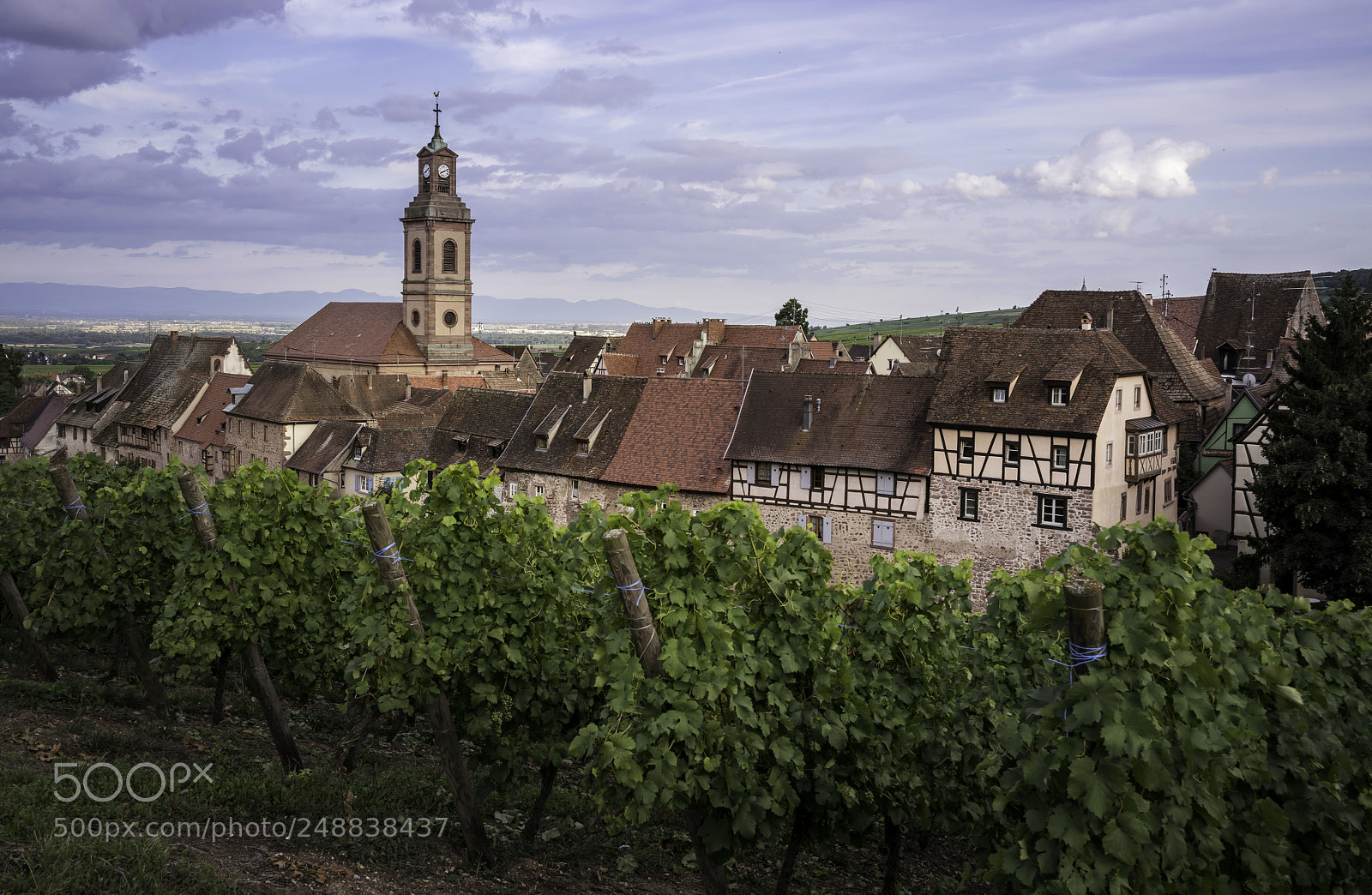Sony a7R II sample photo. French vineyards photography