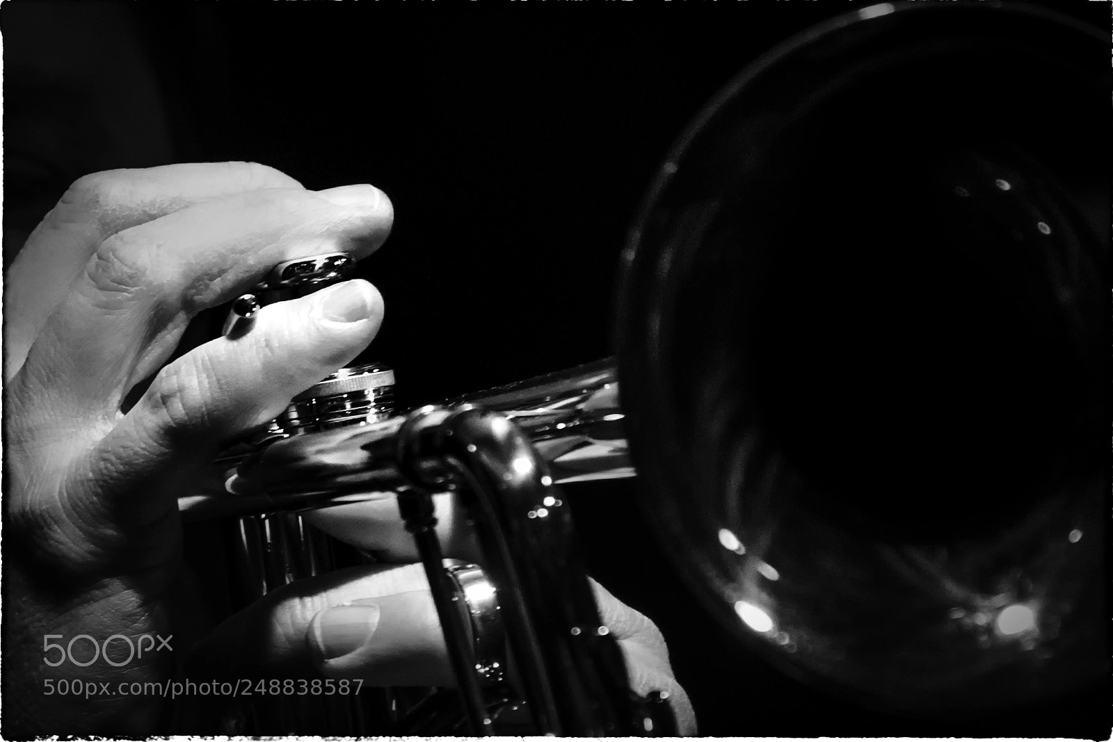 Sony a7 II sample photo. Trompete b () photography