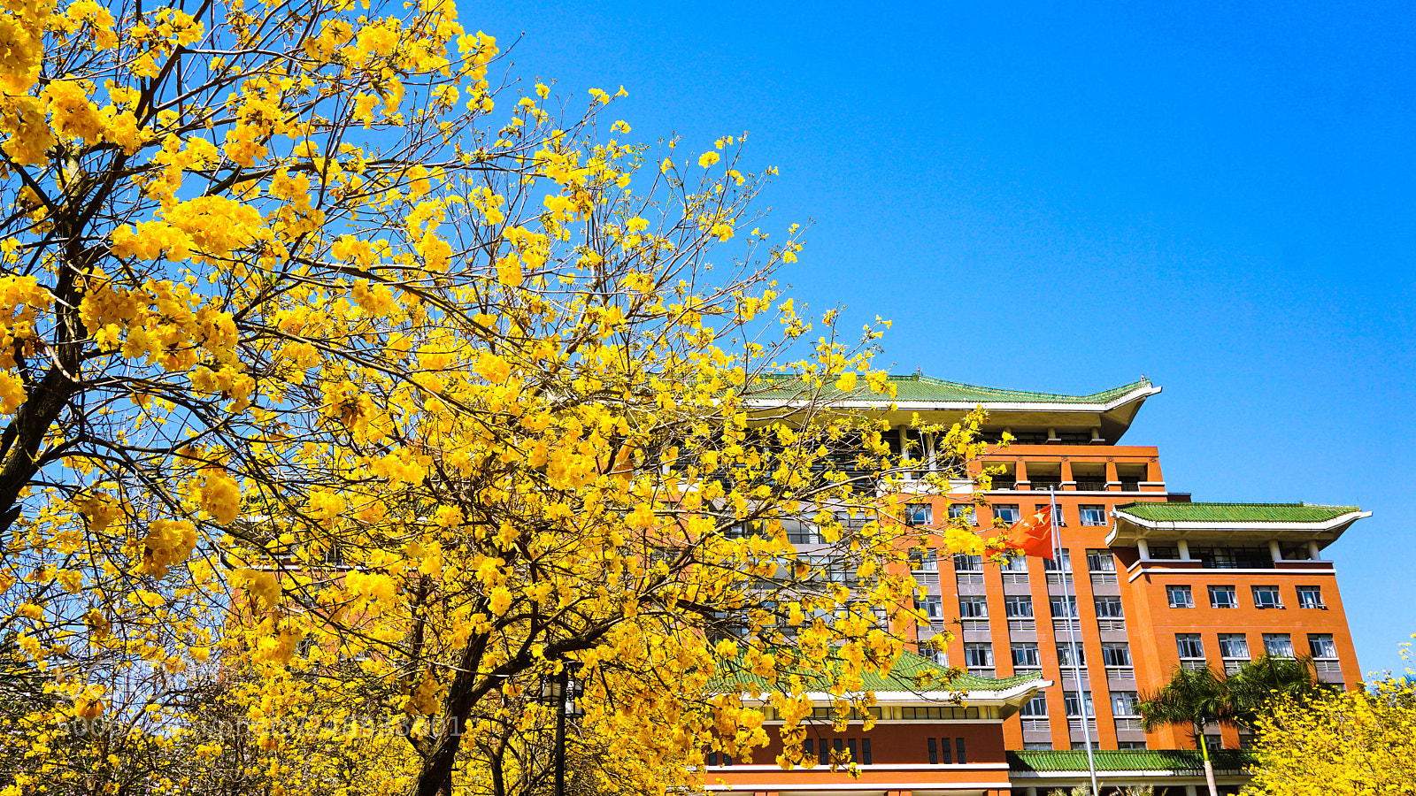 Sony a5100 sample photo. Spring photography