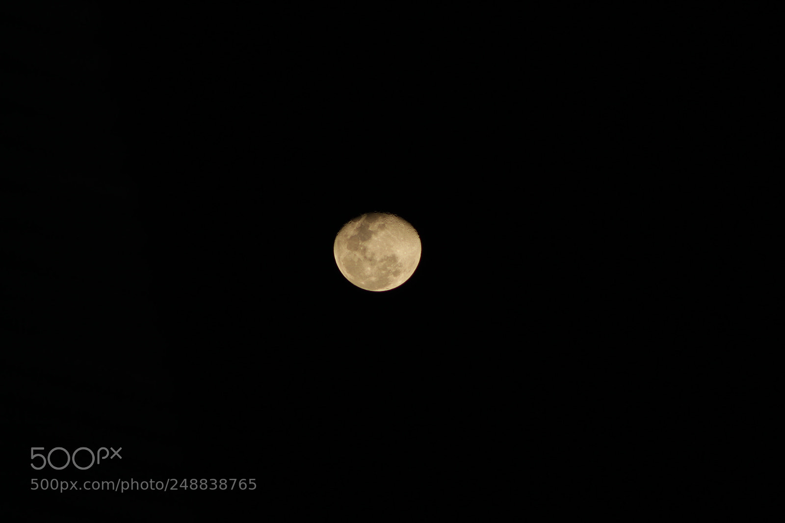 Canon EF 75-300mm f/4-5.6 sample photo. Untitled photography