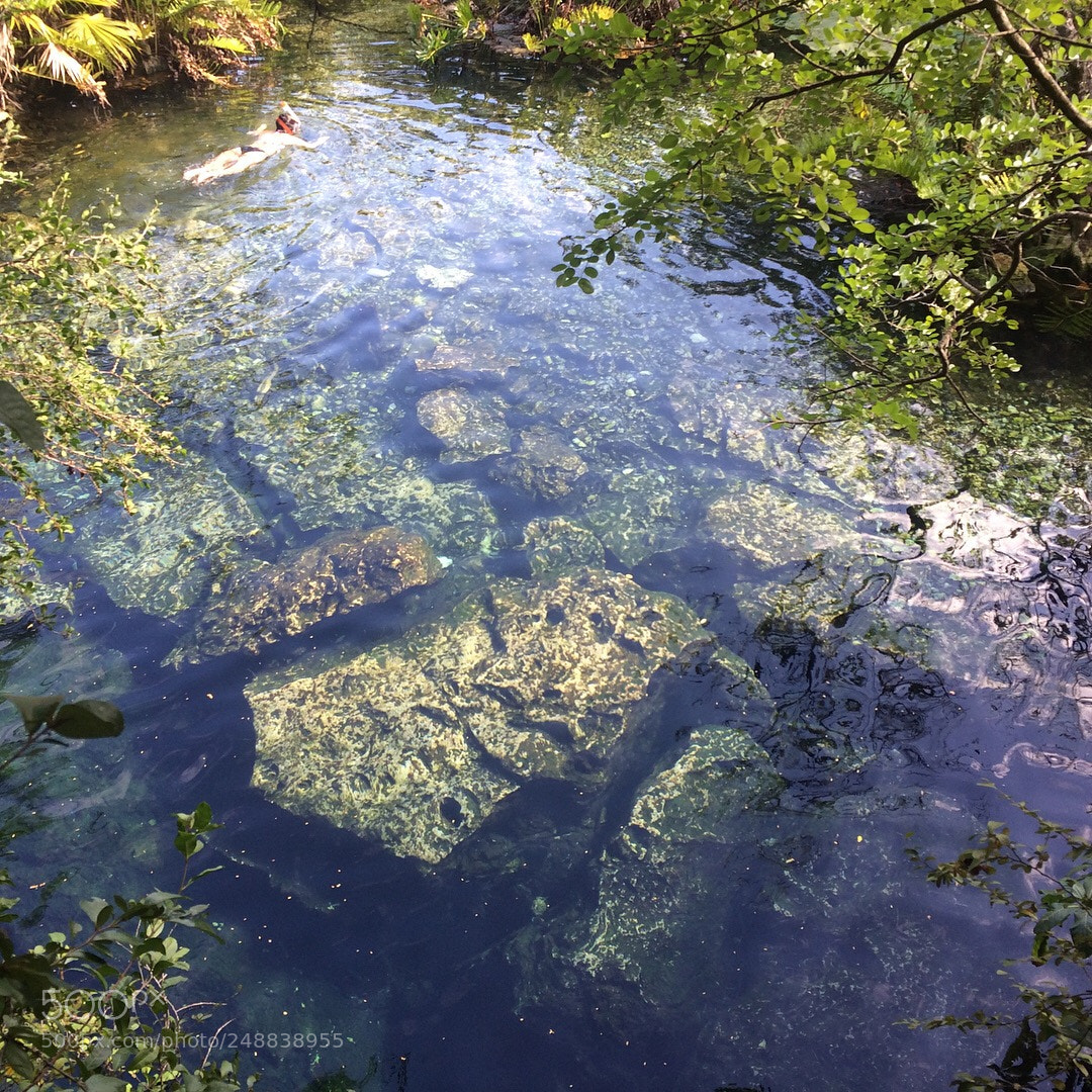 Apple iPhone 5s sample photo. #cenoteazul #naturaleza #vida #paz photography