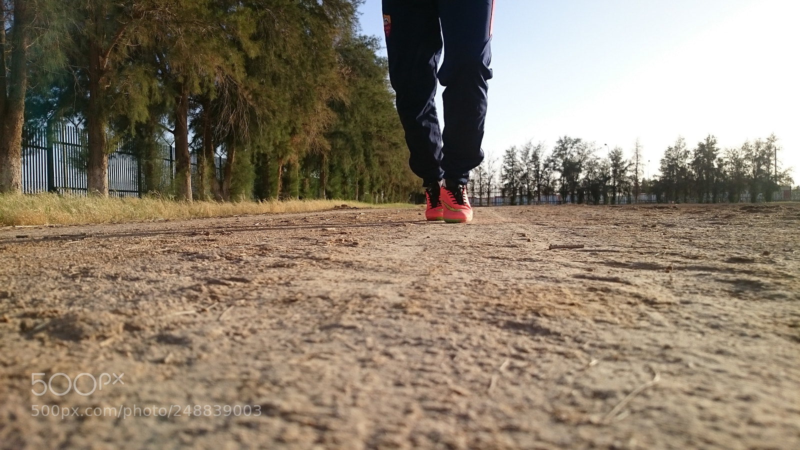 Sony Xperia Z2 sample photo. Untitled photography
