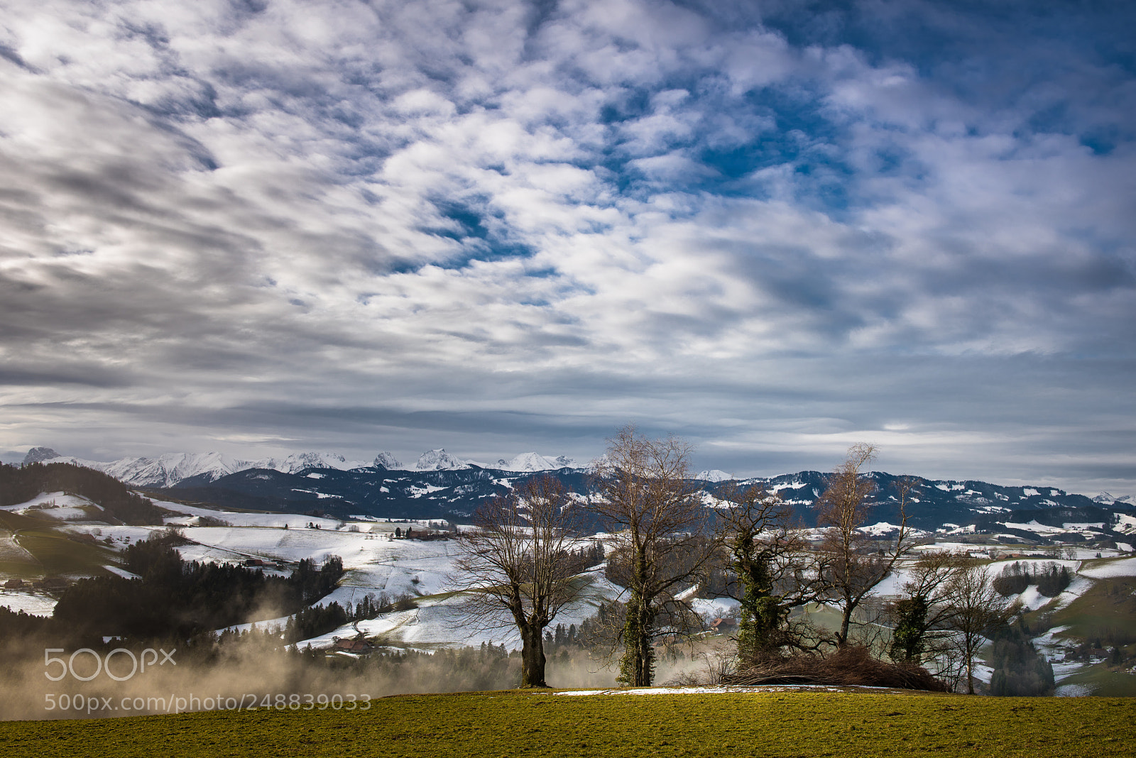 Nikon D810 sample photo. Ground fog day photography