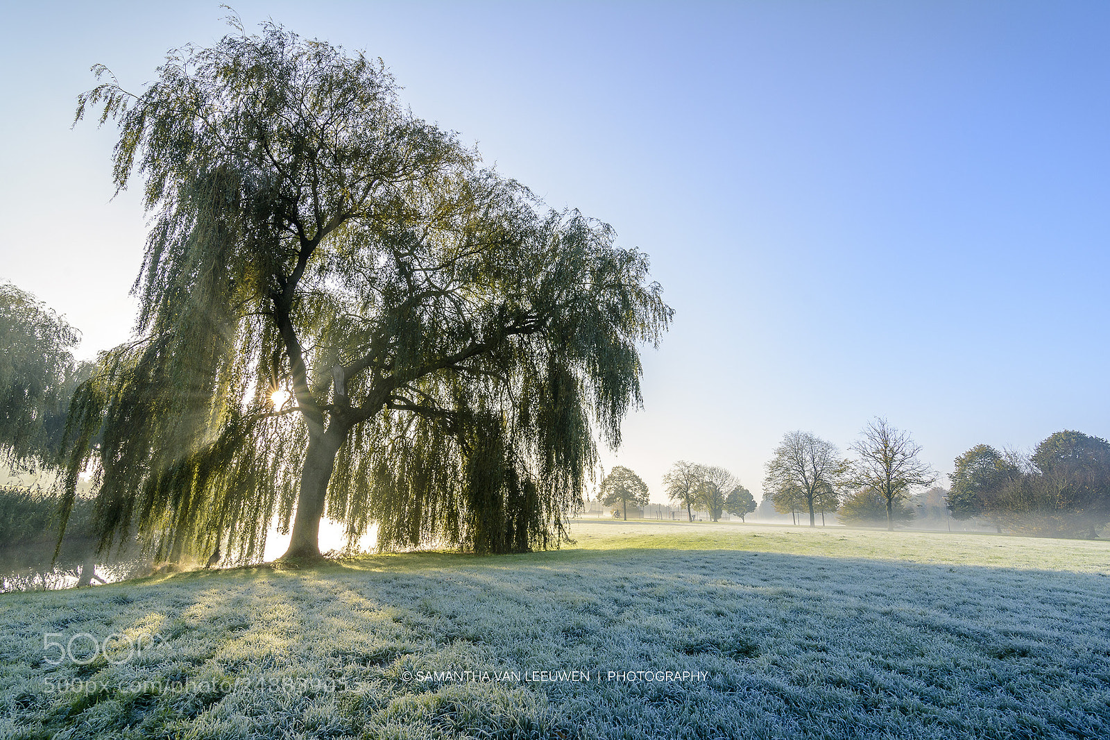 Nikon D7100 sample photo. Cold morning walks photography