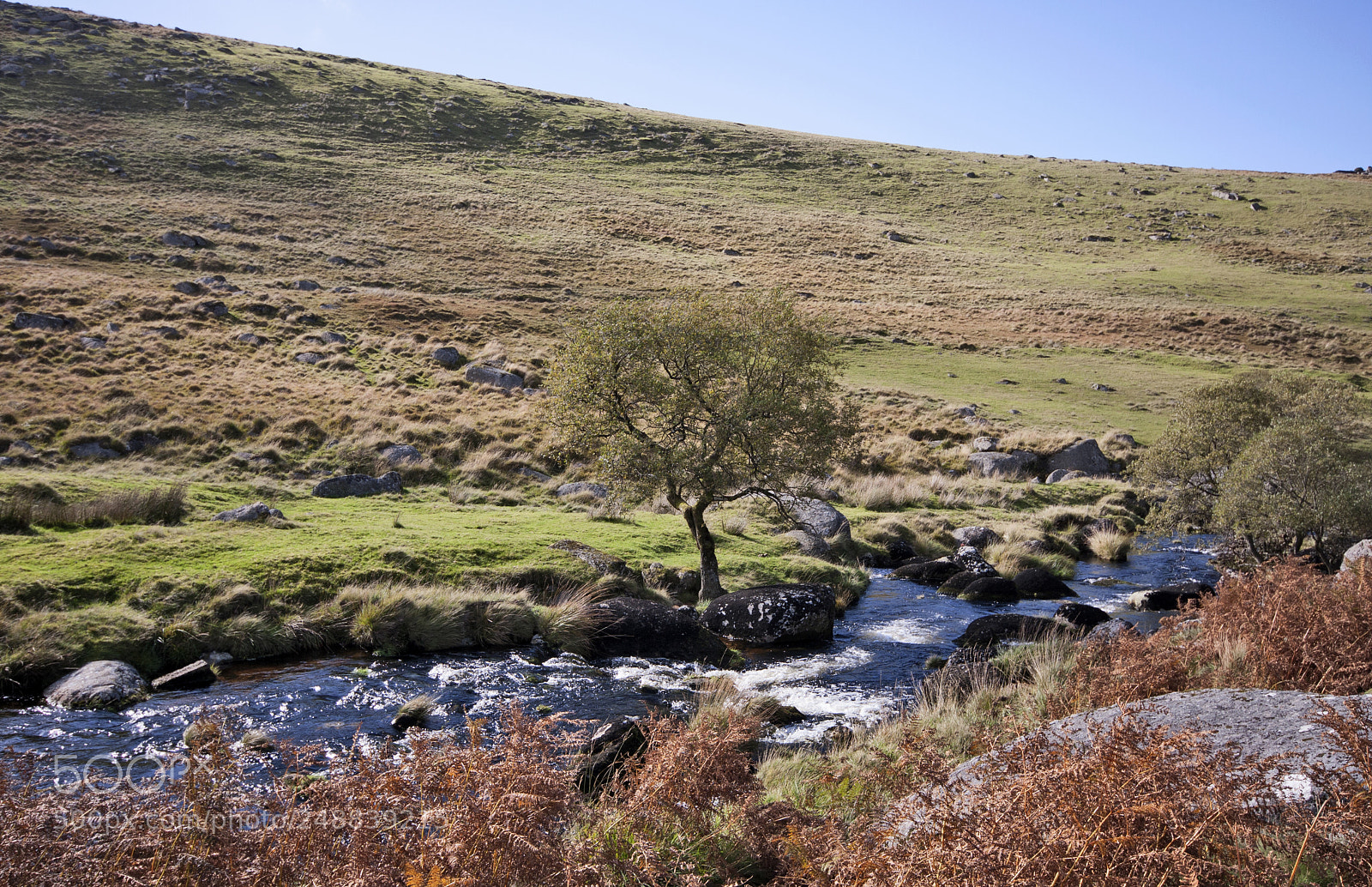 Canon EOS 40D sample photo. Hanging on dartmoor photography