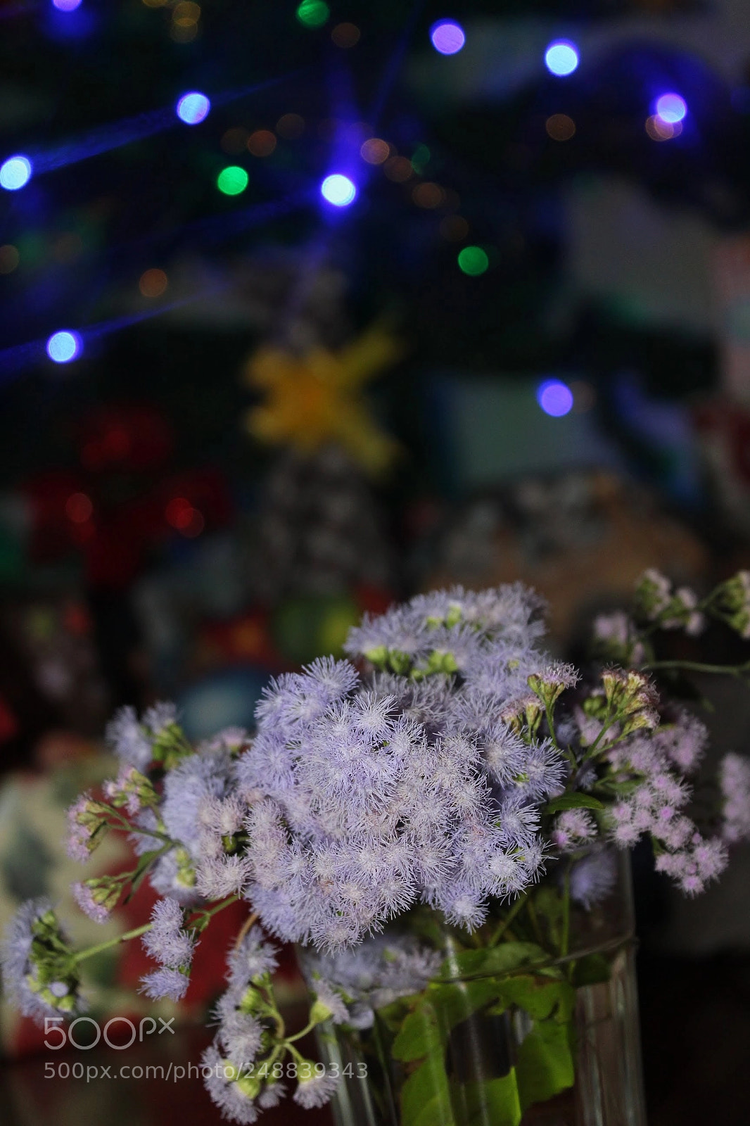 Canon EOS 1300D (EOS Rebel T6 / EOS Kiss X80) sample photo. Santa lucías photography
