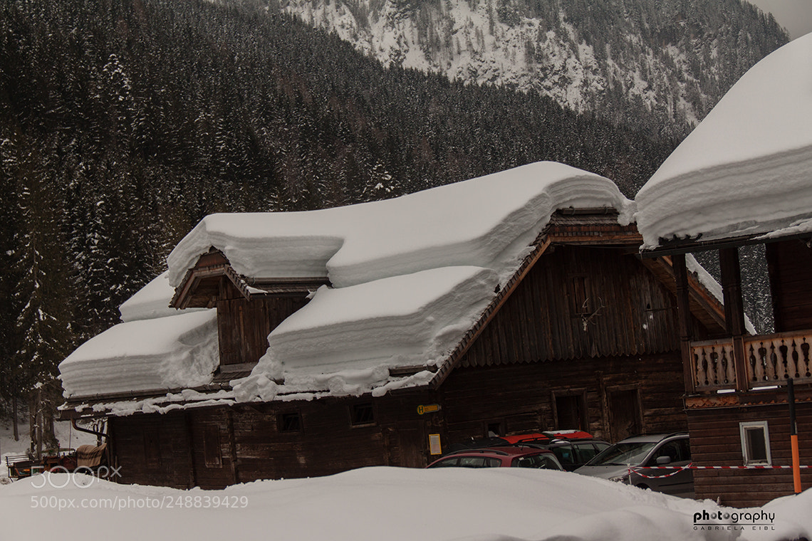 Canon EOS 500D (EOS Rebel T1i / EOS Kiss X3) sample photo. Snow enough photography